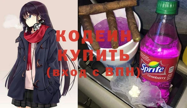 шишки Болохово