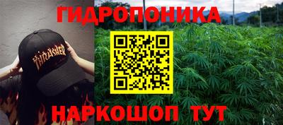 дмт Будённовск