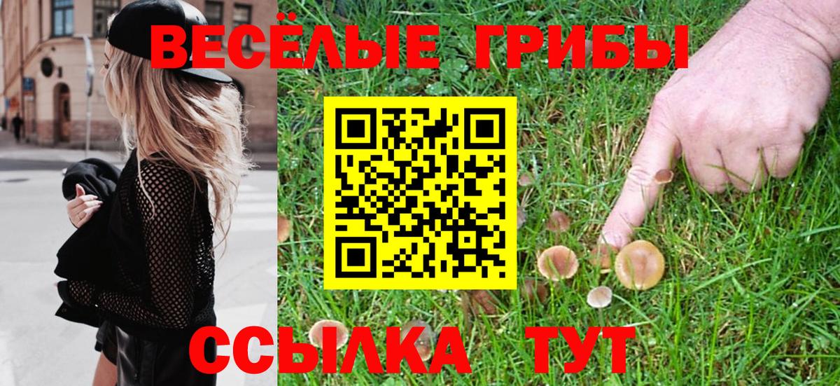 Галлюциногенные грибы MAGIC MUSHROOMS Уфа